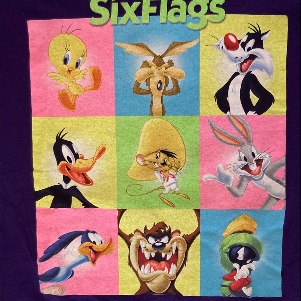 Six Flags Tee - image 2